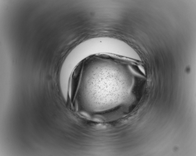 X0000102400566200808151945