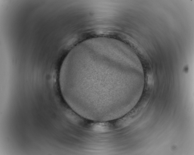 X0000102400567200808151945