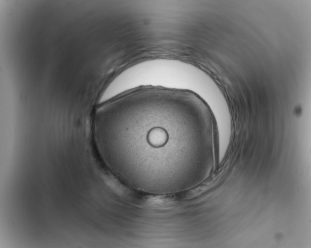 X0000102400568200808151945