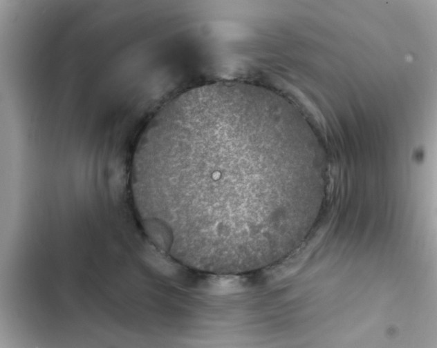 X0000102400569200808151945