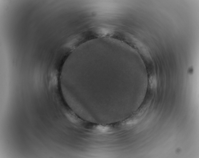 X0000102400570200808151945