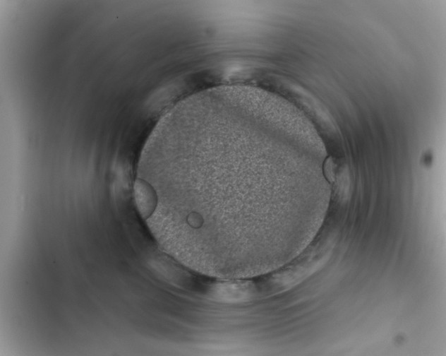 X0000102400571200808151945