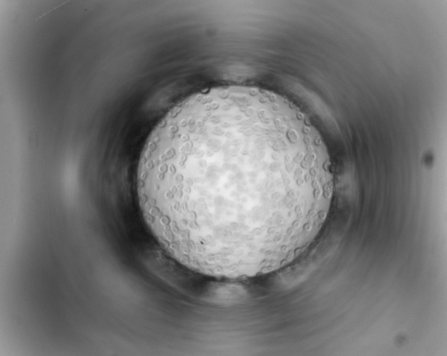 X0000102400572200808151946