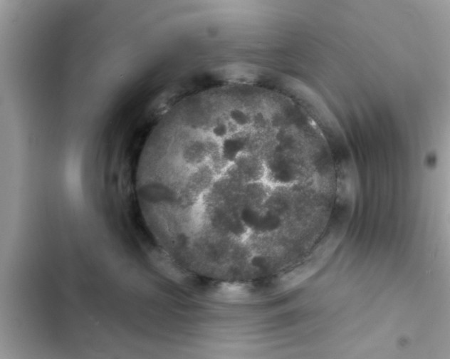 X0000102400573200808151946