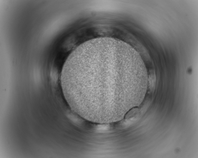 X0000102400574200808151946