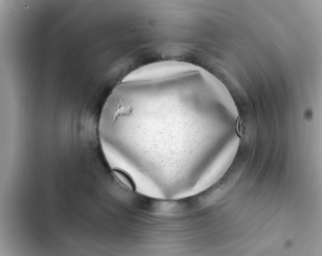 X0000102400575200808151946