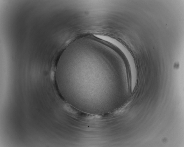 X0000102400576200808151946