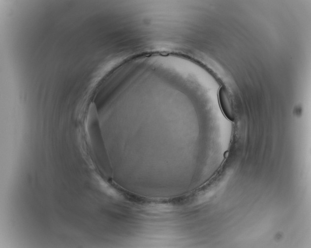 X0000102400577200808151945