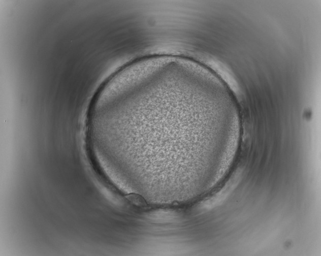 X0000102400578200808151945