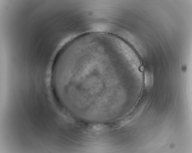 X0000102400579200808151945