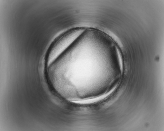 X0000102400580200808151945