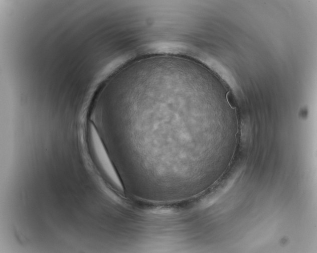 X0000102400581200808151945