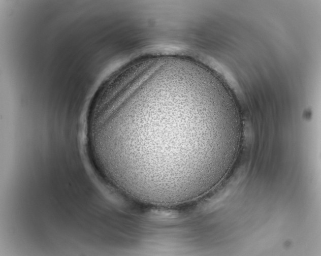 X0000102400582200808151945