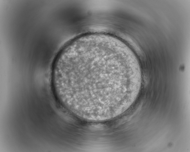 X0000102400583200808151945