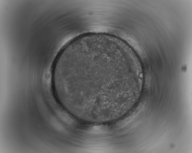 X0000102400584200808151945