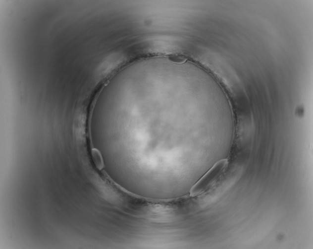 X0000102400585200808151945