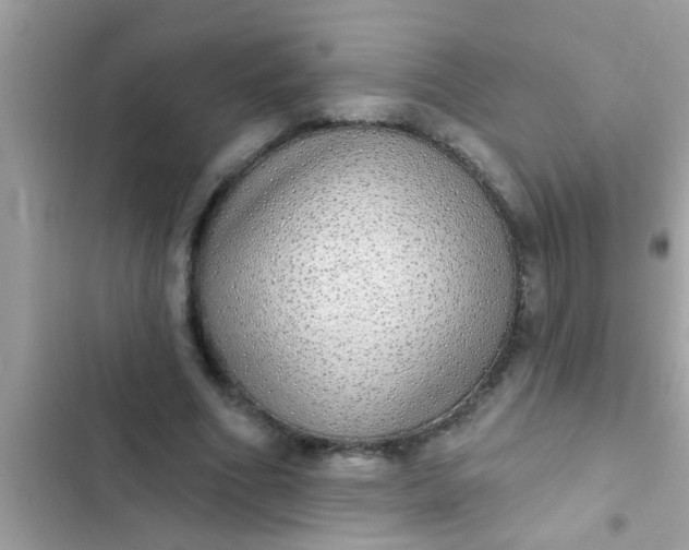 X0000102400586200808151945