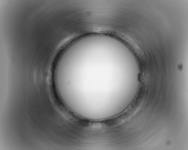 X0000102400587200808151945