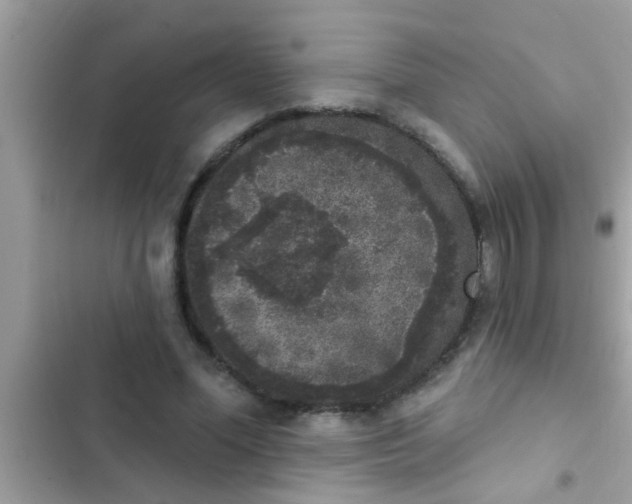 X0000102400588200808151945