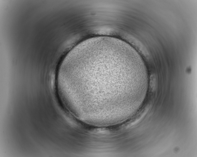 X0000102400589200808151945