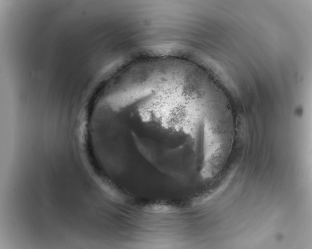 X0000102400590200808151945