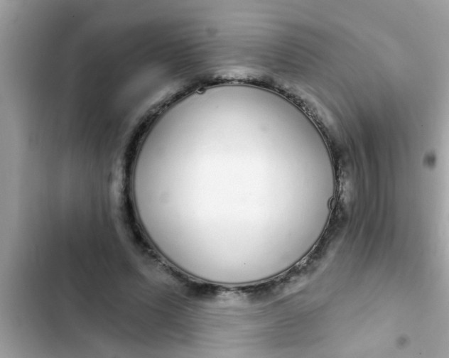 X0000102400591200808151945