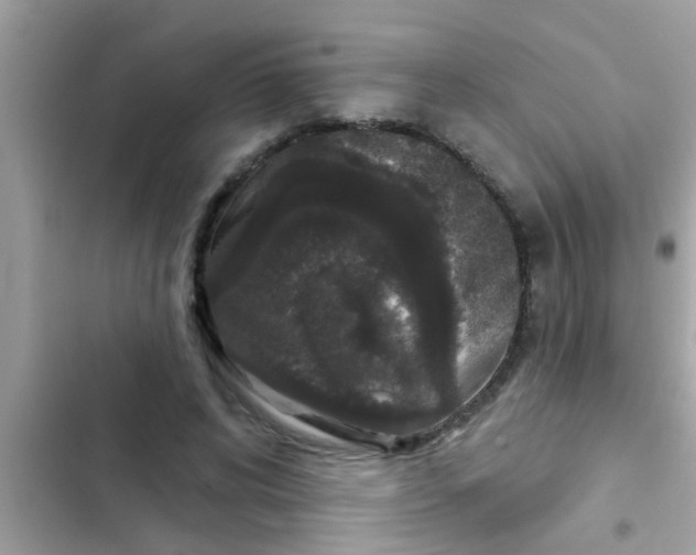 X0000102400592200808151945