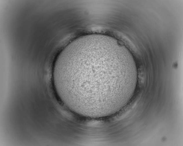 X0000102400593200808151945