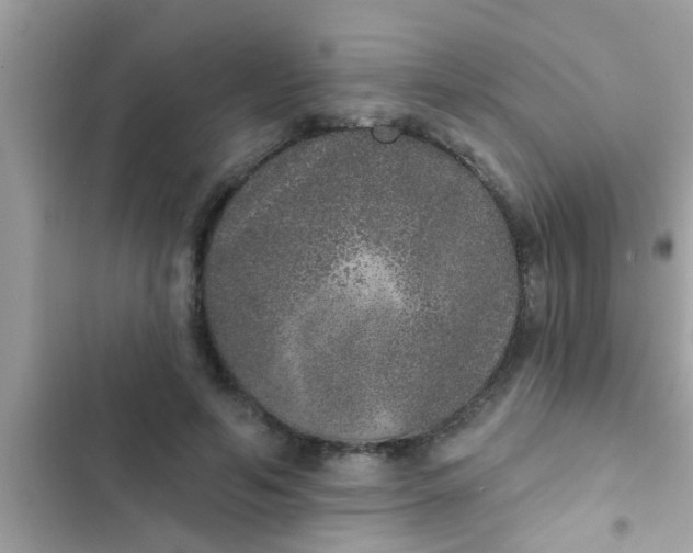 X0000102400594200808151944