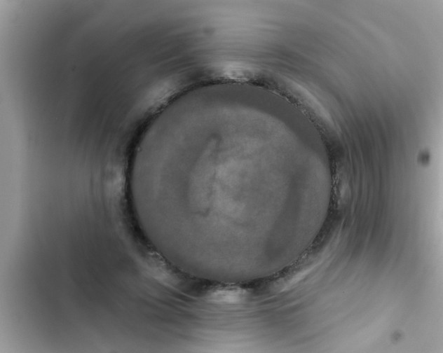 X0000102400595200808151944