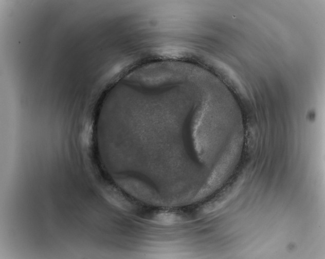 X0000102400596200808151944