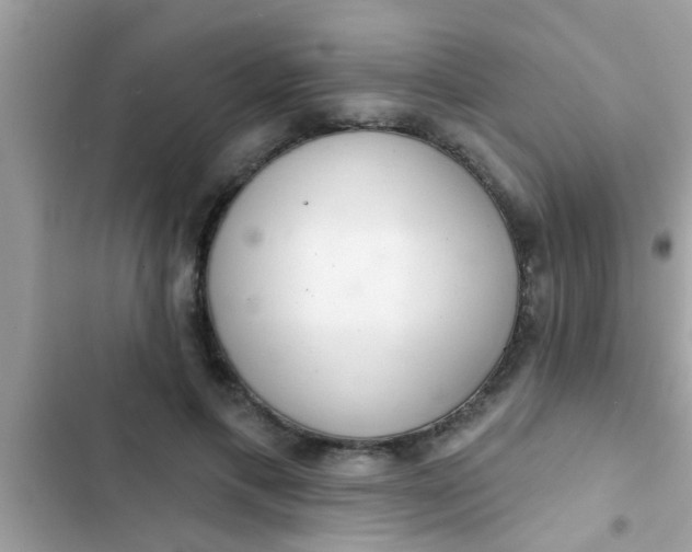 X0000102400597200808151944