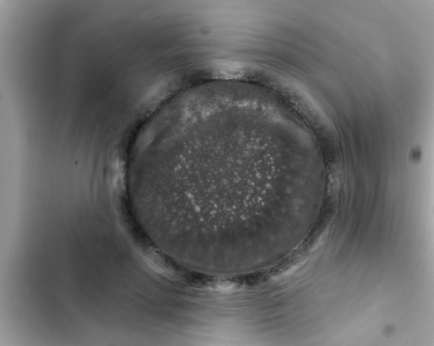 X0000102400598200808151944