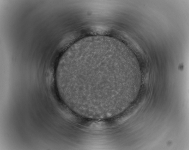 X0000102400599200808151944