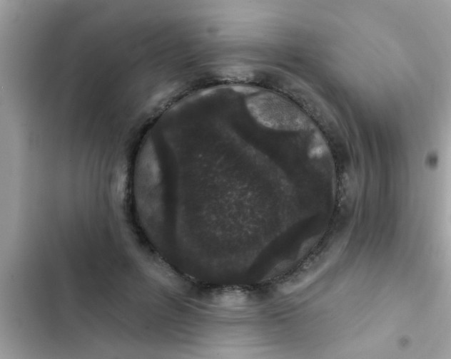 X0000102400600200808151944