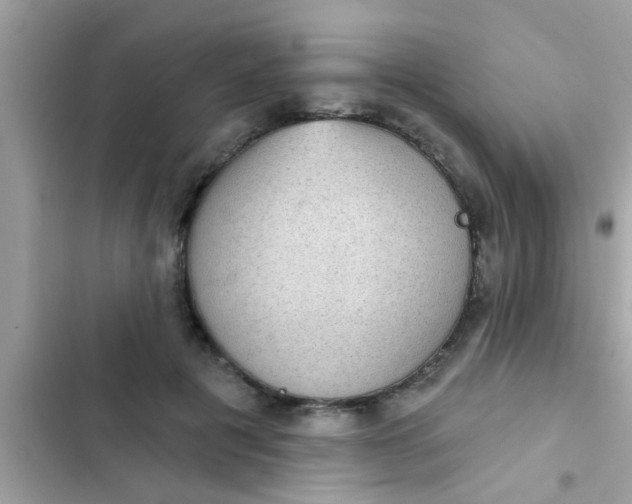 X0000102400601200808151944