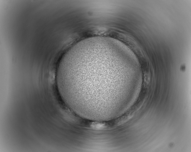 X0000102400602200808151944