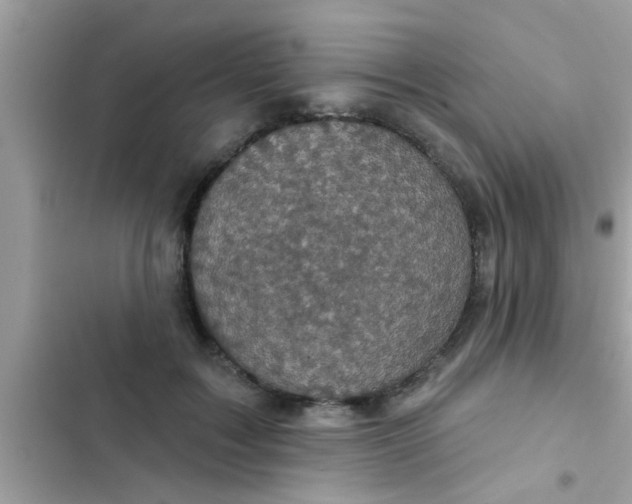 X0000102400603200808151944