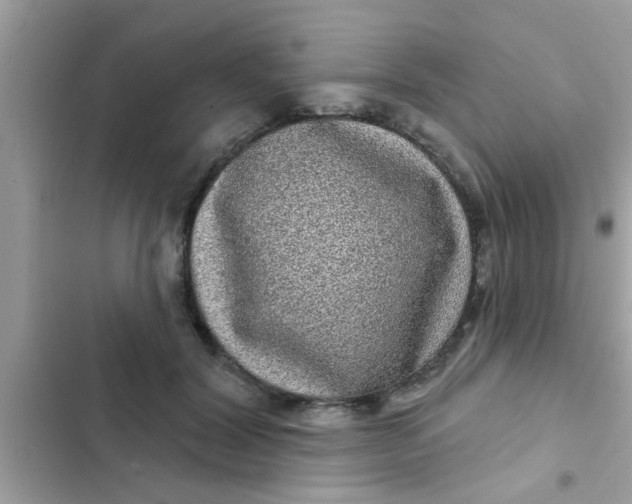 X0000102400604200808151944