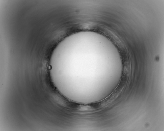 X0000102400605200808151944