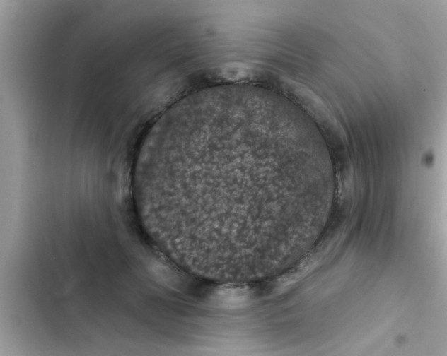 X0000102400606200808151944