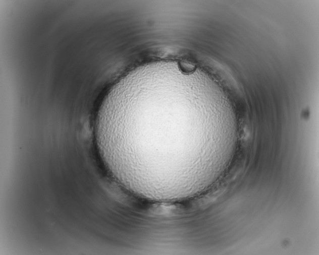 X0000102400607200808151944