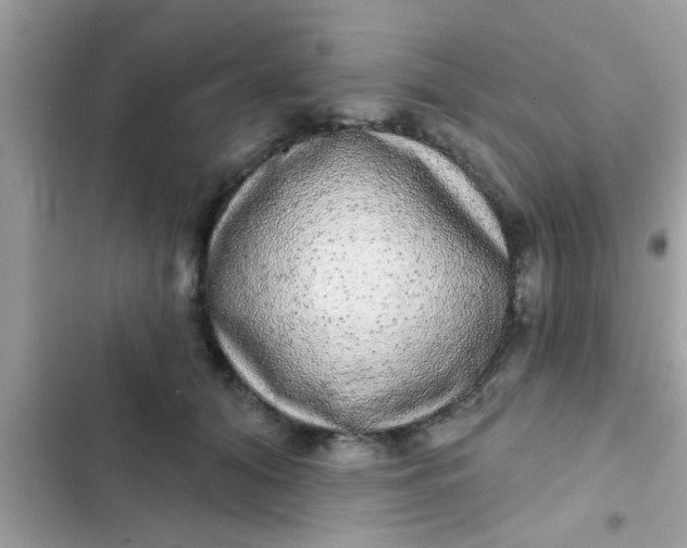 X0000102400608200808151944