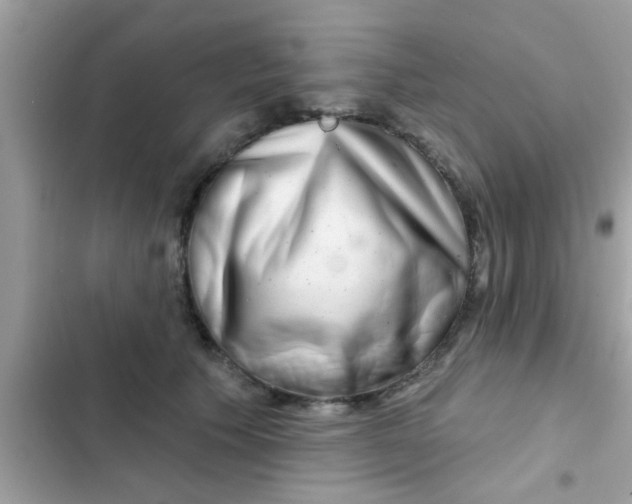 X0000102400609200808151944