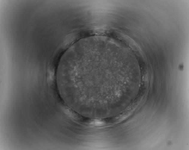 X0000102400610200808151944