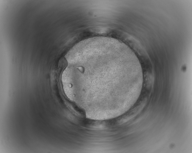 X0000102400612200808151944