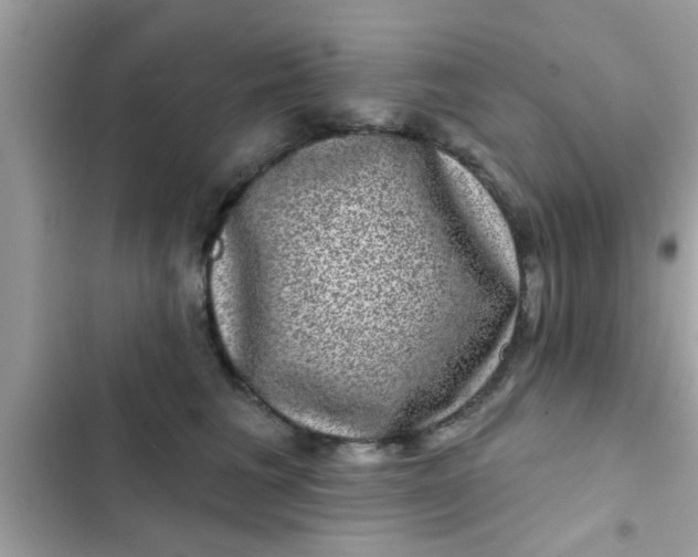 X0000102400613200808151944