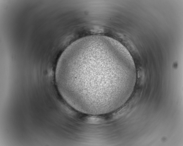 X0000102400614200808151944