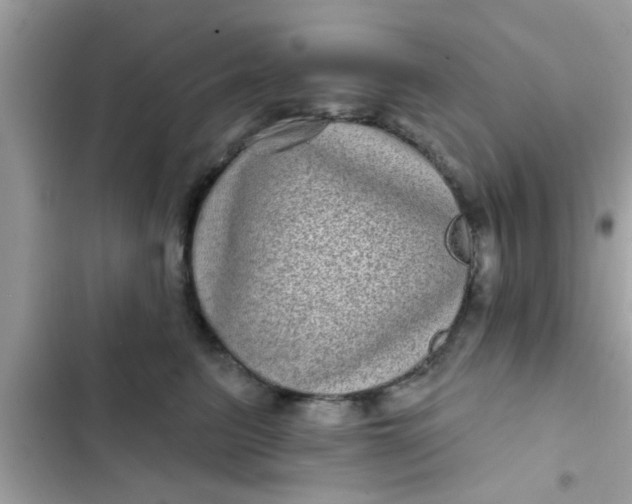 X0000102400615200808151944