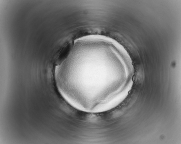 X0000102400616200808151944